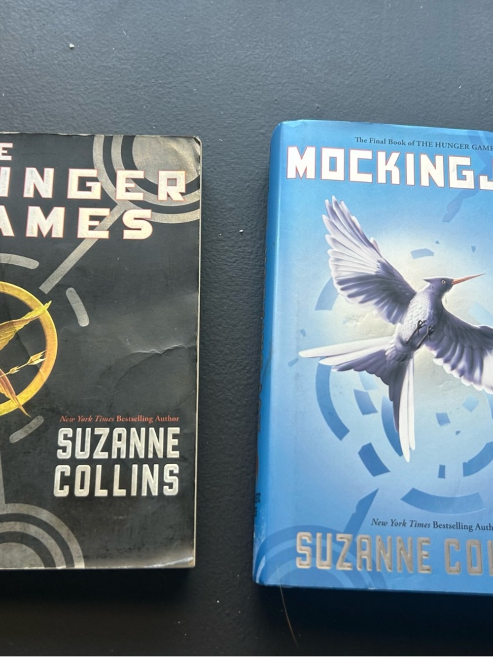 Hunger Games book bundle